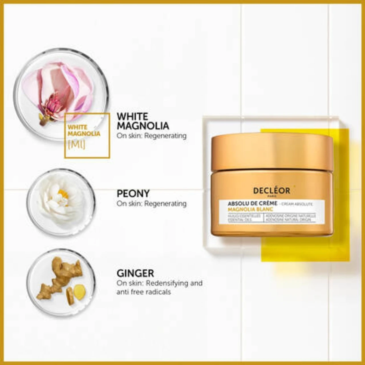 DECLÉOR Decleor White Magnolia Cream Absolute 50ml 2 DECLÉOR Decleor White Magnolia Cream Absolute 50ml – Image 2